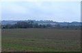 Countryside near Mickleton