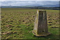 SO3835 : Trig Point and view to the south by Philip Halling
