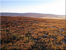 NY7053 : Panorama from Hog Hill (4: WNW - Glendue Fell) by Mike Quinn
