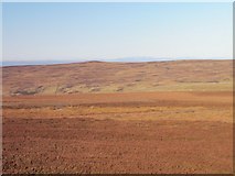 NY7053 : Panorama from Hog Hill (13: ENE - The valley of Snope Burn) by Mike Quinn