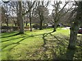 Trees and shadows, Dartington