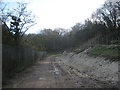 Bridleway to Coombe Road