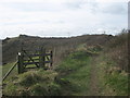 Kissing gate on Whinless Down