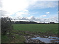 Waterlogged entrance to arable field