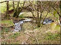 Stream near Lower Ranscombe