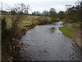 River Goyt at Bridgemont