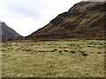 Grassland, Strath Croe