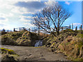 Clough House Brook