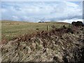 Looking towards Barden Moor