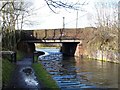 Leys Bridge