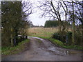 TM3865 : Footpath to Tiggins Lane & North Green & entrance to Lynwood & Benstead by Geographer
