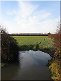 TQ4416 : River Field by Simon Carey