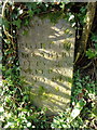 Boundary stone at Pont Bren Pwll y Brag