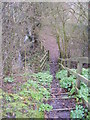 TM3763 : Footpath steps on the footpath to Thurlow Close by Geographer