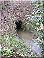 Gull Stream flowing flowing under the A12