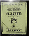 Poster for Black Swan, Dungiven