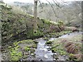 Shore Gill, from the footpath bridge.