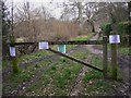 Forestry gate on bridleway