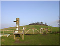 Gate to The Clumps