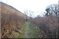 Footpath to High Swinside