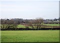 Farmland behind Ladford Fields