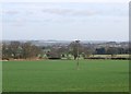 Farmland near Walton Hurst