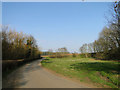 Some Suffolk countryside in early March