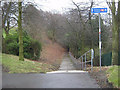 NZ2642 : Steps from Wharton Park to the railway station in Durham City by peter robinson