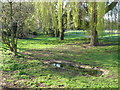 Small pond in Southend Park