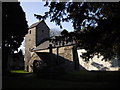 Churchyard cross & St Cadoc