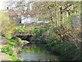 The Pool River south of Meadowview Road, SE6 (4)