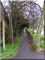 Footpath to Mill Road