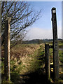 Footpath to Greenway Bank