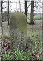 Boundary stone, Red Lees Road, Burnley