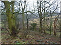 Valley of Trough Brook above Ringwood Farm