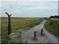 TQ9320 : National Cycle Network Route 2 between Rye and Camber by shirokazan