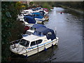 Cabin Cruisers at Byfleet