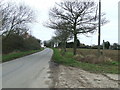 Footpath Off Bury Road