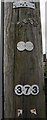 TF0820 : Telephone pole detail, Westfield by Bob Harvey