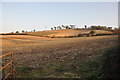 Teignbridge : Ploughed Field & Hillside