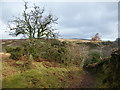 Footpath into Anstey