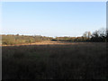 Round Wood Field/Barn Field