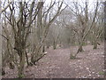 Bridleway in Scotland Common