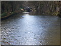 Basingstoke Canal