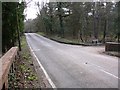 Tilford Road looking south from the bridge by Dene Lane