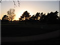 Sunset over Frilford Heath golf club