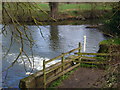 River Wey at Byfleet