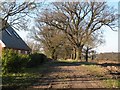 Country path, viewed from Chedburgh Road