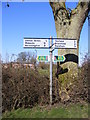 TM3771 : Roadsign on Sibton Green by Geographer