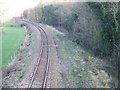 Tarka line from New Bridge